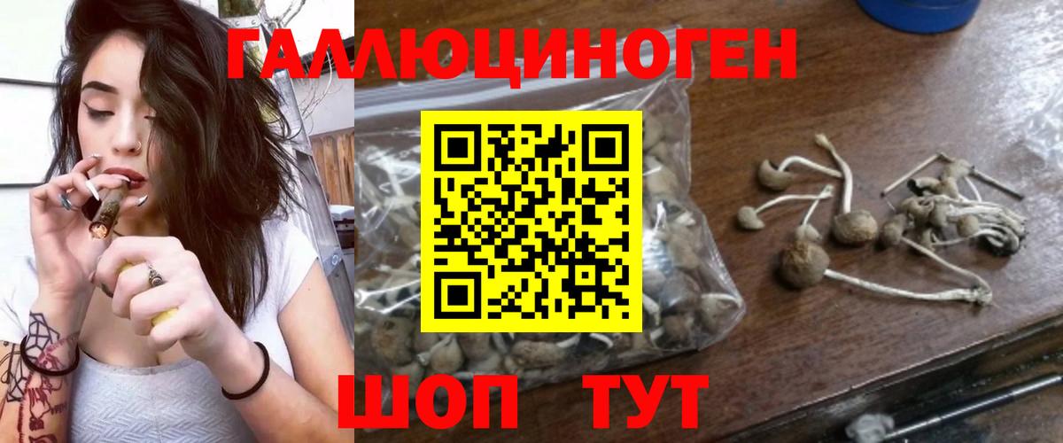 Псилоцибиновые грибы Cubensis  Вход с VPN  Галлюциногенные грибы Psilocybine cubensis  Тихорецк 