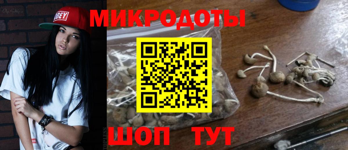 Галлюциногенные грибы мухоморы Тихорецк